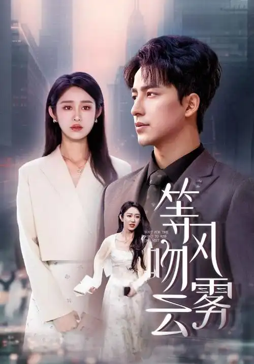 雾港往事热播电视剧全集免费观看